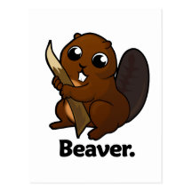 Beaver Beaver. Postcard