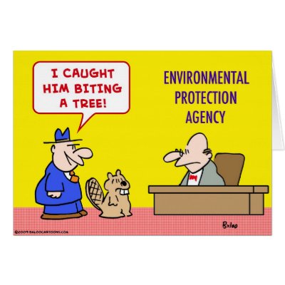 beaver biting tree environmental protection agency greeting cards by rexfmay
