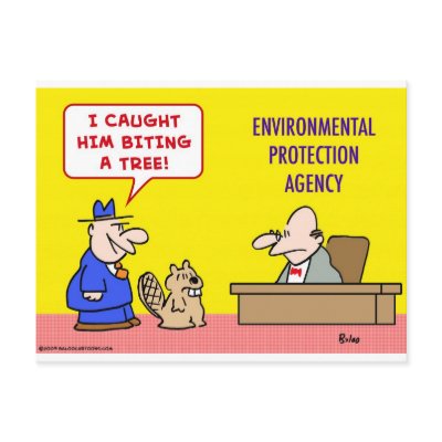 beaver biting tree environmental protection agency postcards by rexfmay