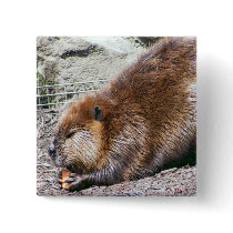 Beaver Pins