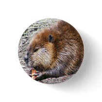 Beaver Button