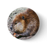 Beaver Pin