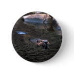 Beaver Button Pinback Button