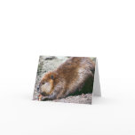 Beaver Card