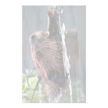 beaver custom stationery