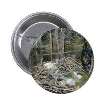Beaver Dam Button