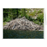 beaver dam greeting card