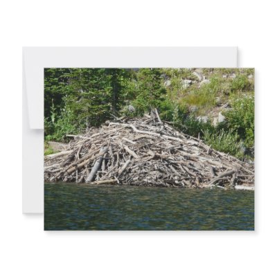 beaver dam personalized invitations by pinkypetals
