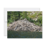 beaver dam invitations