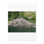 beaver dam post cards