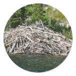 beaver dam round stickers