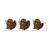 Beaver Design