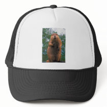 Beaver Hats