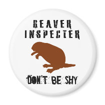 Beaver Inspector