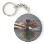 beaver keychains