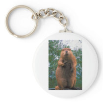 Beaver Keychain