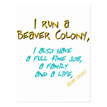 beaver leader turquoise post cards