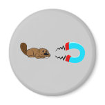 beaver magnet
