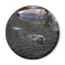 Beaver Magnet Fridge Magnets