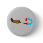 beaver magnet