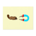 beaver magnet