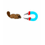 beaver magnet t-shirts