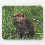 Beaver Mousepad
