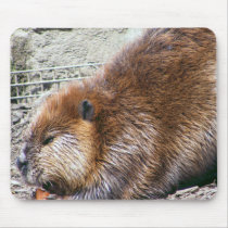 Beaver Mouse Pad