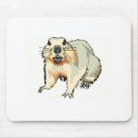 Beaver Mouse Pads