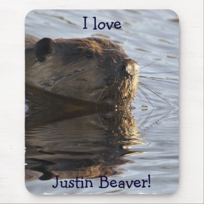 Beaver Mousepad by HANDPRINTS