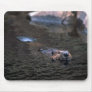 Beaver Mousepad