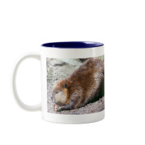 Beaver Mugs