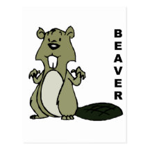 Beaver Post Cards