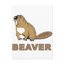 Beaver Postcards