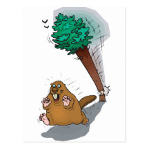 Beaver Postcards