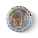 Beaver Round Button