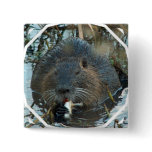 Beavers Habitat Square Pin buttons