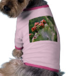 Beavertail Cactus Pet Shirt