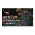 Beavertail Cactus Pink flowers Business Card Templates