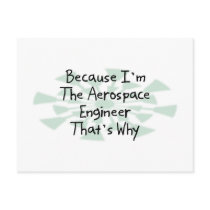 Because I'm the Aerospace Engineer Post Cards