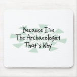 Because I'm the Archaeologist