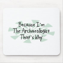 Because I'm the Archaeologist