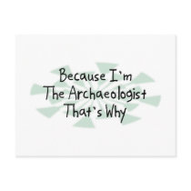 Because I'm the Archaeologist