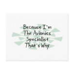 Because I'm the Avionics Specialist Postcard