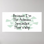 Because I'm the Avionics Specialist Poster