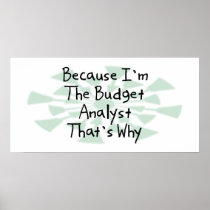 Because I'm the Budget Analyst Posters