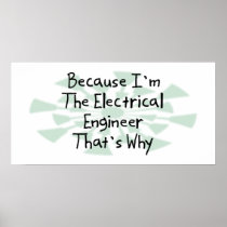 Because I'm the Electrical Engineer Poster
