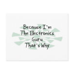 Because I'm the Electronics Guru Post Cards
