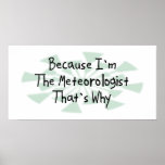 Because I'm the Meteorologist Poster