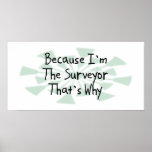 Because I'm the Surveyor Posters